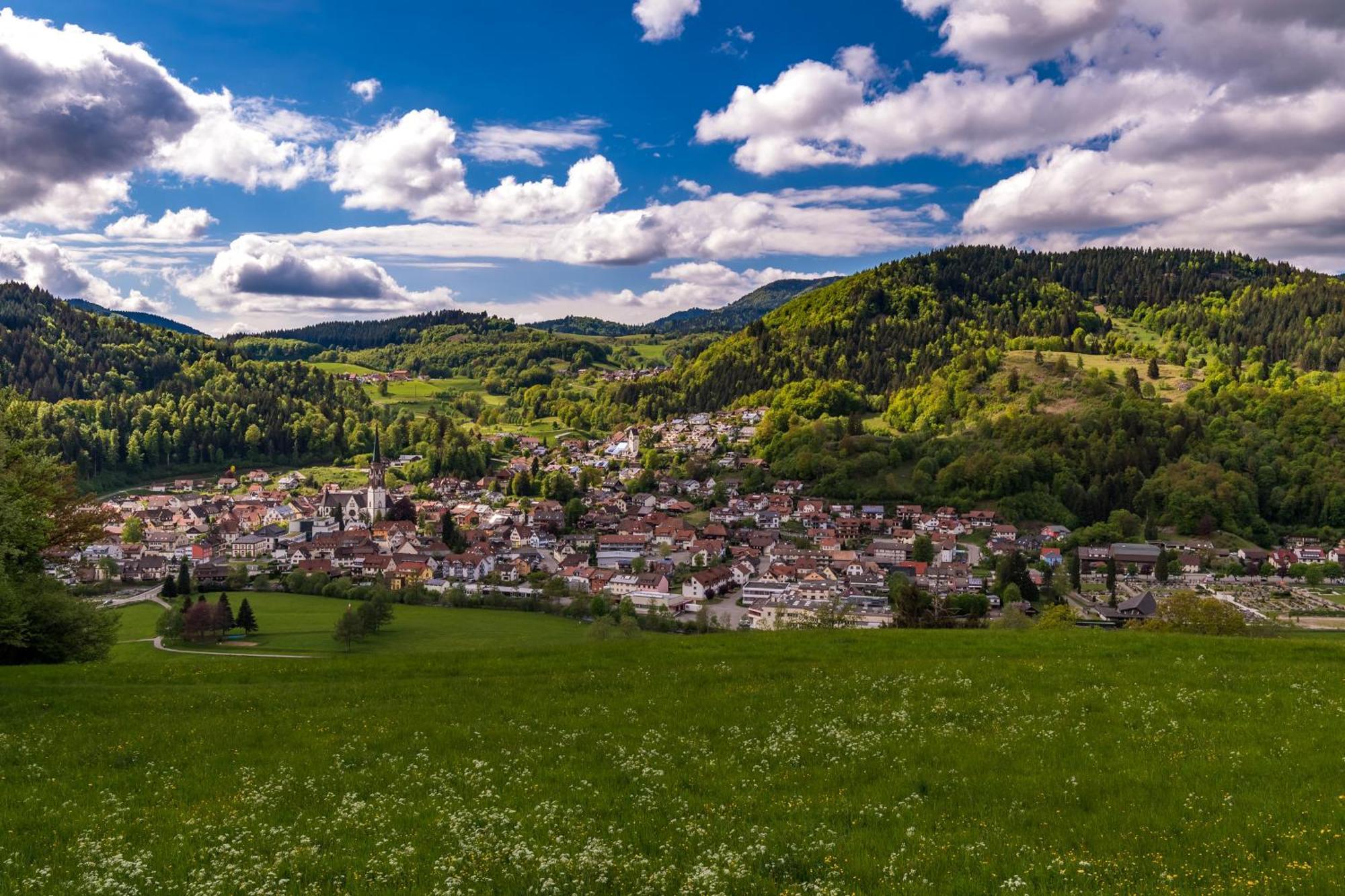 Ferienwohnung Traumblick Schönau im Schwarzwald Zewnętrze zdjęcie